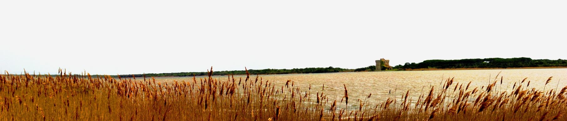 Torre di Burano: vista panoramica